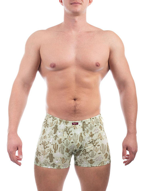 Труси чоловічі шорти Bono 950323 48, Банани Київ - фото 1