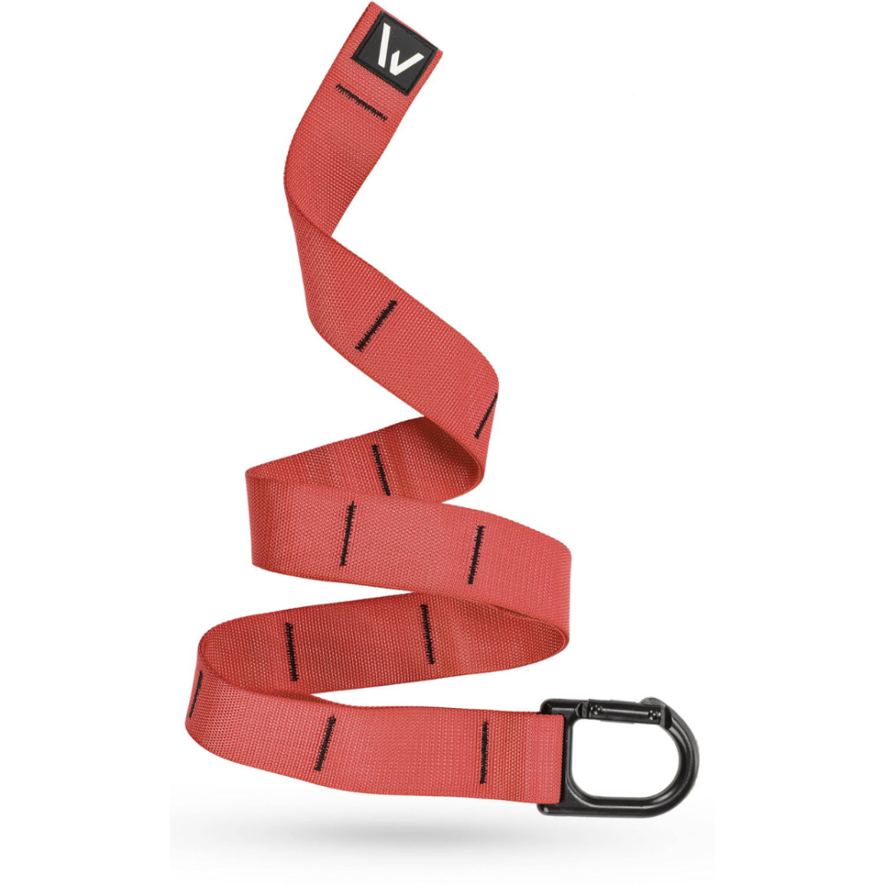 Фитнес петли TRX Gymtek Pro комплект для домашних тренировок функциональный тренажер для похудения и силы Крас Киев - изображение 2