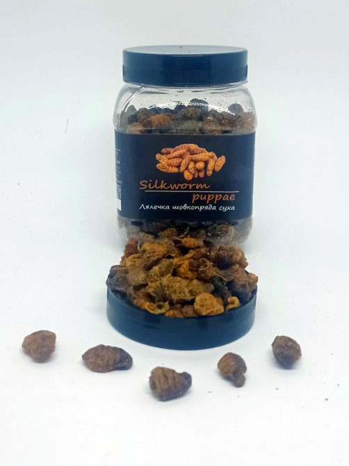 Лялечка тутового шовкопряда суха "SilkWorm" тм Буся. Корм для рептилій, їжаків, птахів, гризунів, риб. 450мл/100г Зміїв - фото 1