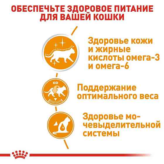 Royal Canin Intense Beauty Gravy (Роял Канін Інтенс Б'юті) вологий корм для кішок для шкіри та шерсті від 12 міс. 0.085 кг. х 12 шт. Запоріжжя
