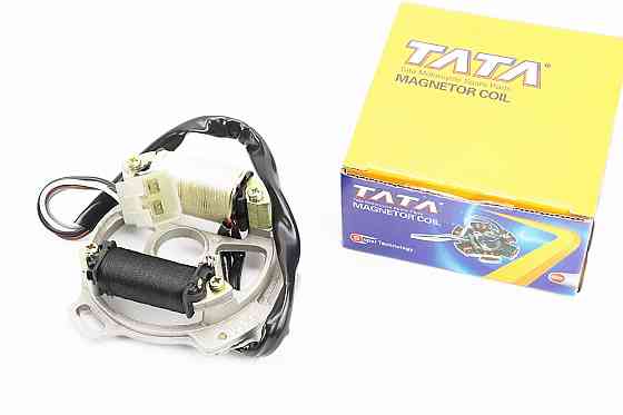 Статор магнето (генератора) (2 котушки роз'єм "тато 4") Киев