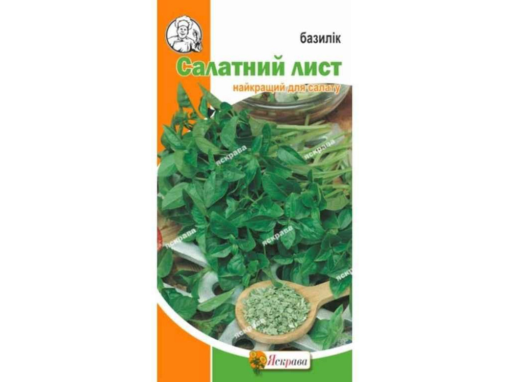 Базилік Салатний лист (20 пачок) 0,2г ТМ ЯСКРАВА Київ - фото 1