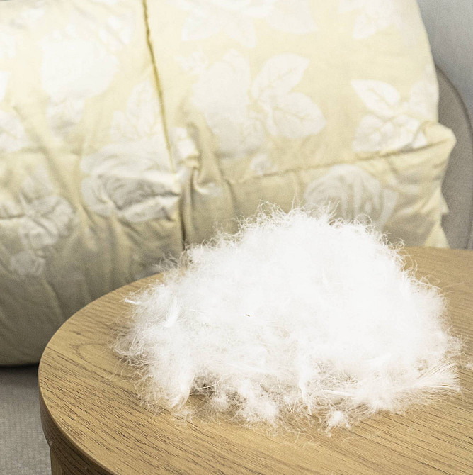 Эксклюзивное пуховое двуспальное одеяло YouStar 100% пух, размер 175х205 см (Бежевый) Сумы - изображение 2