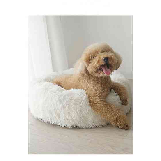 Лежанка для кошек и собак «Ворс» XL (70см), Білий Киев