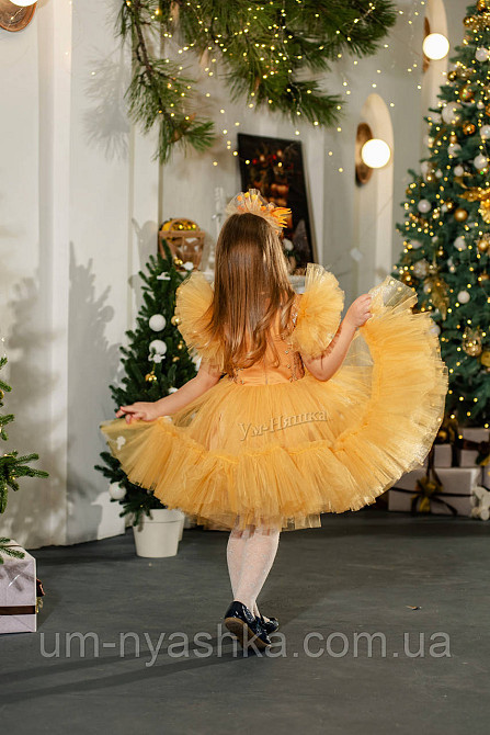 Костюм обідок Золотої рибки Кривий Ріг - фото 6