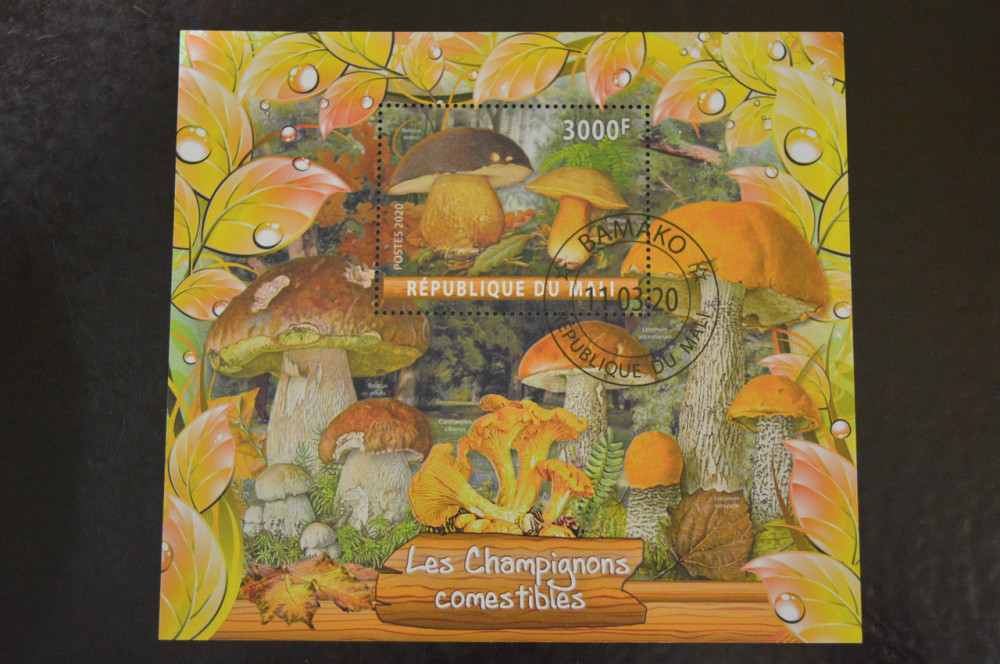 Мали. Марки. Фауна. Блок. 2020 год (В-4) Полтава - изображение 1