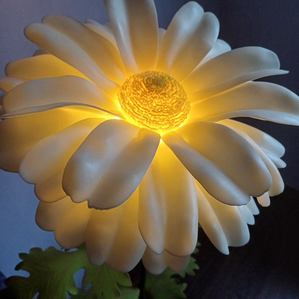 Мініторшер_Ромашка Дніпро - фото 4