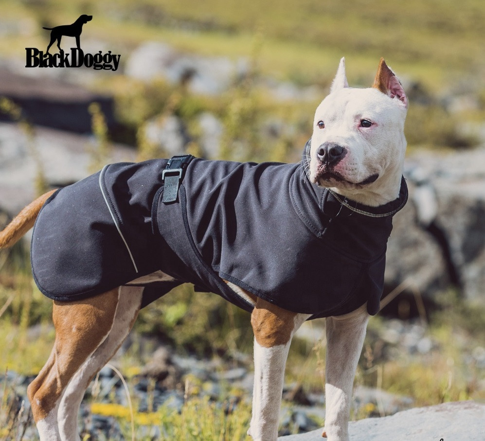 Куртка для собак BlackDoggy (БлекДогги) VC19-JK008 L, Черный Запорожье - изображение 1