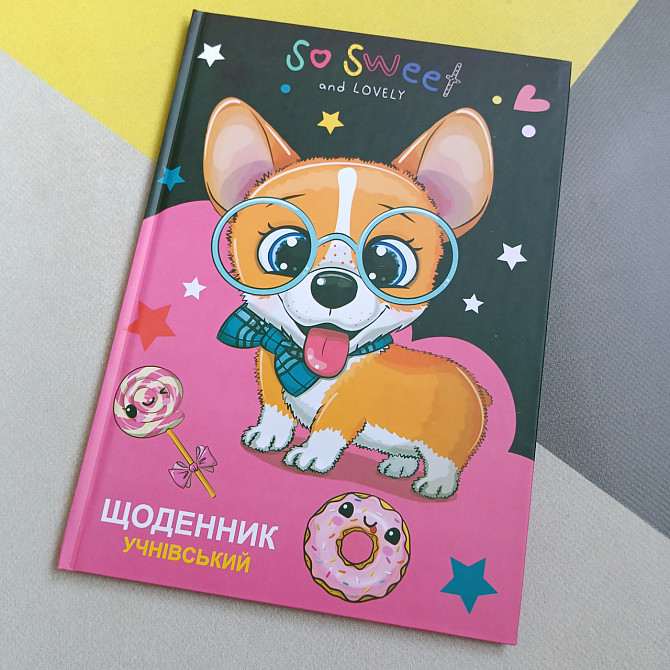 Учнівський шкільний щоденник тверда обкладинка Київ - фото 1