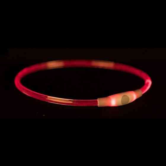 Нашийник світиться з USB різнокольоровий S-M 40cм/8мм Київ