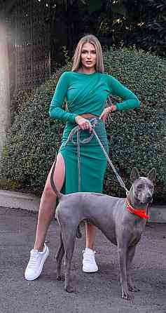 Костюм із джерсі (42) Київ