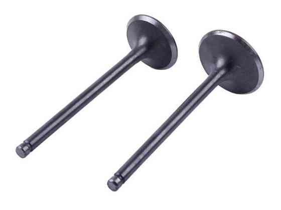 Клапани на мототрактор Зубр, к-т: 2 шт. Мукачево