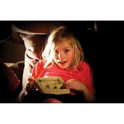 Настольная игра Smart Games Храм - пастка (SG 437 UKR) Винница