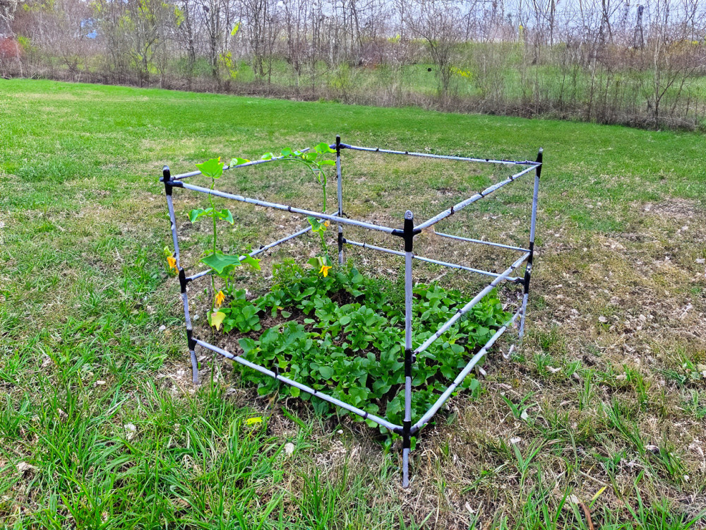 Садова опора для міні-парника Tetra. Каркас для міні теплиці на дачі. Системи для підв'язки рослин. Бориспіль - фото 2