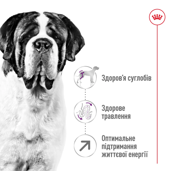 Royal Canin Giant Adult (Рояв Канін Джаїнт Едалт) сухий корм для дорослих собак гігантських порід 15 кілограмів. Запоріжжя