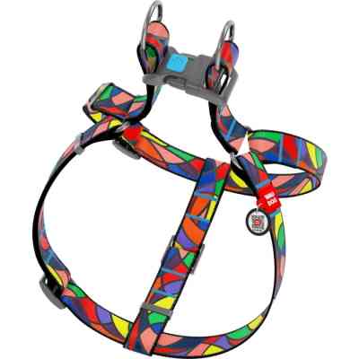 Шлей для собак WAUDOG Nylon с QR паспортом анатомическая "Витраж" L (4608) Винница