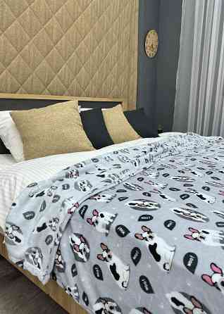 Плед-покривало Decorator WellSoft WOOF 200х205 см з принтом "Песики" (87-195) Київ