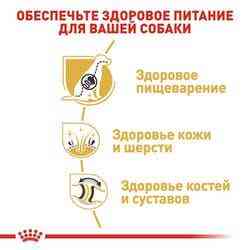 Royal Canin German Shepherd Adult (Роял Канін Джерман Шеперд Едалт) сухий корм для дорослої німецької вівчарки Запоріжжя