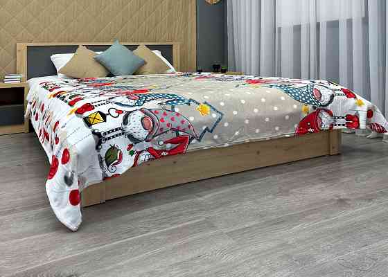 Плед-покрывало 200х230 см с рождественским принтом Разноцветный (87-320) Киев