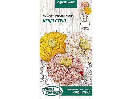 Цинія струнка КЕНДІ СТРІП (суміш) ОД (10 пачок) 0,3г ТМ НАСІННЯ УКРАЇНИ Київ