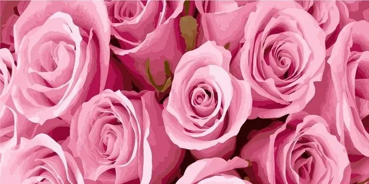 Набір для розпису по номерах Рожеві троянди Strateg розміром 50х25 см (WW056), шт Киев - изображение 1