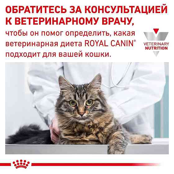 Royal Canin Urinary S/O Moderate Calorie 85 г х 12 шт (Роял Канін Уринарі СО) корм для кішок для сечових шляхів Запоріжжя