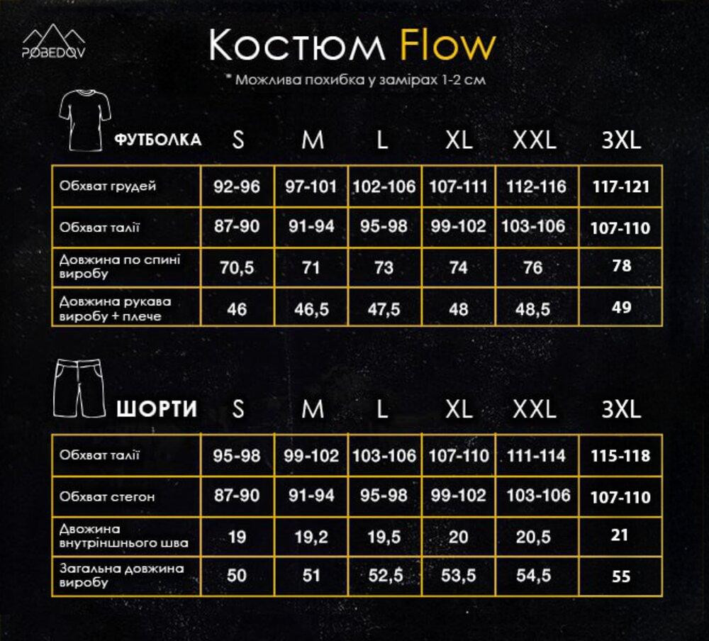 Мужской летний комплект шорты и футболка черный свободного кроя Pobedov Flow Киев - изображение 3