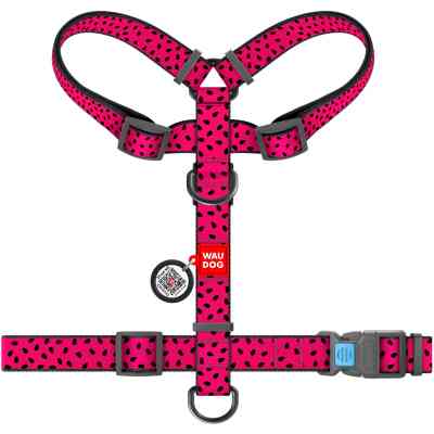 Шлея для собак WAUDOG Nylon з QR паспортом анатомічна H-подібна "Кавун" L (5562) Вінниця