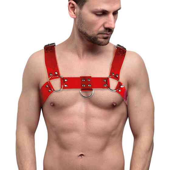 Чоловіча портупея на груди Feral Feelings - Bulldog Harness Red Trasparent Sex Aura Київ