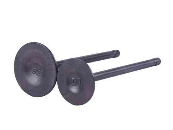 Клапани на бензиновий двигун СG250 Мукачево