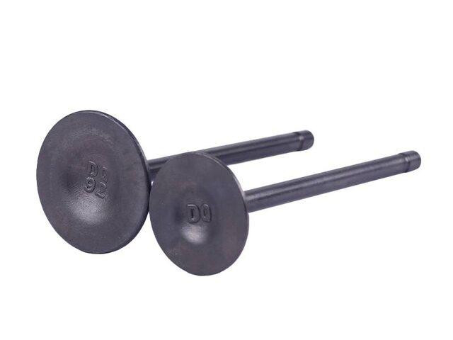 Клапани на бензиновий двигун СG250 Мукачево - фото 1