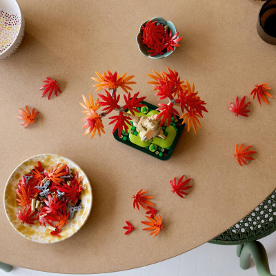 Конструктор LEGO Botanicals Бонсай з японського червоного клена (10348) Вінниця - фото 4