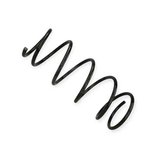 Пружина Renault Clio II 1.4, 1.4 16V (98-08) передняя Мукачево