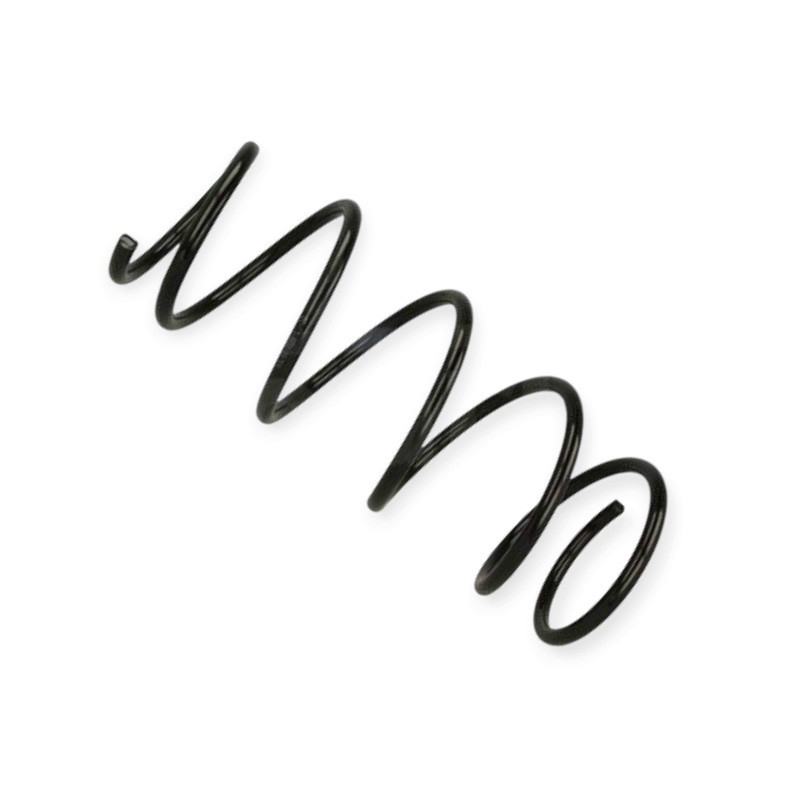 Пружина Renault Clio II 1.4, 1.4 16V (98-08) передняя Мукачево - изображение 1