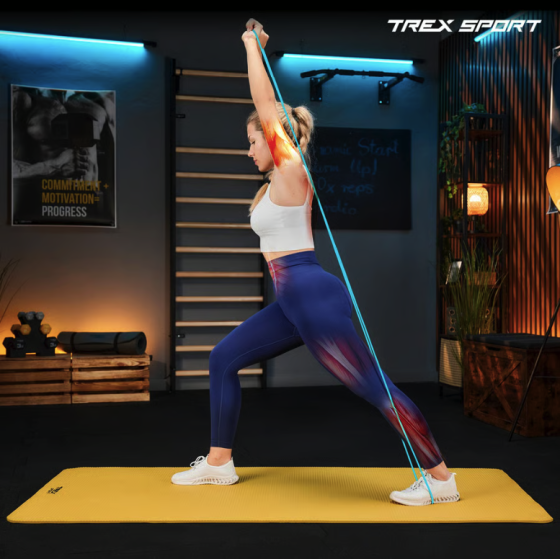 Набір резинок для фітнесу Trex Sport TX-004PB Power Band 4в1 2-41кг Київ