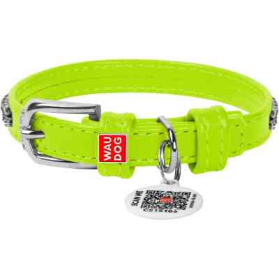 Нашийник для тварин WAUDOG Glamour з QR-паспортом "Стрази" XS Ш 9 мм Д 19-25 см салатовий (33075) Вінниця
