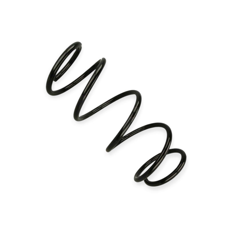 Пружина Renault Scenic II, Grand Scenic II 1.4-1.6i 03- передняя Мукачево - изображение 1