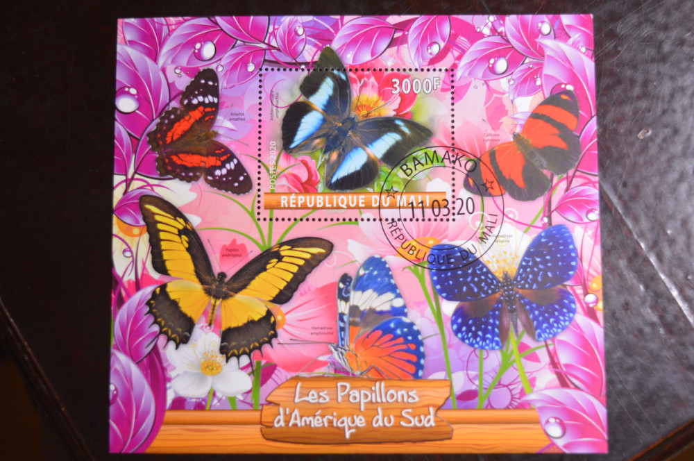 Малі. Марки. Фауна. Блок. 2020 рік (В-1) Полтава - фото 1