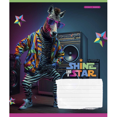 Тетрадь Школярик Dance star 18 листов линия (018-3276L) Винница - изображение 5