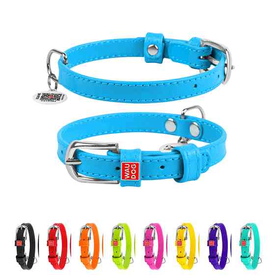 Нашийник для собак шкіряний WAUDOG Glamour з QR паспортом, без прикрас, S, Ш 15 мм, Дов 27-36 с Коломыя