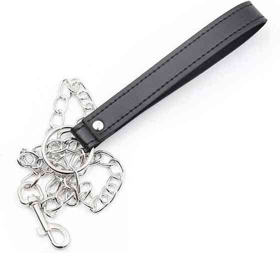 Повідок з ланцюжком для собак 78см Луцьк