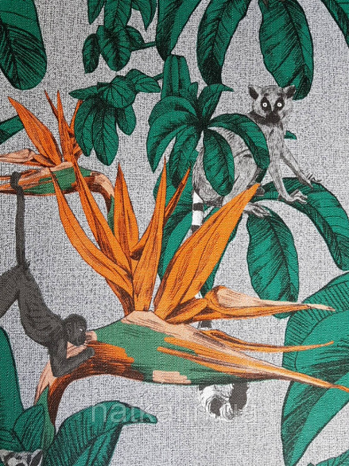 Шпалери вінілові на флізелін гарячого тиснення Marburg Natural vibes метрові листя лемури мавпи на сірому Київ - фото 1