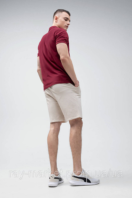 Костюм поло бордове та шорти бежеві RAY BASIC U9007-Bordeauux-Cream Київ - фото 2
