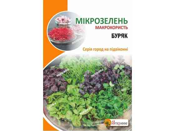 Свекла столовая Семена микрозеленые свекла макси (10 пачек) 10г ТМ ЯСКРАВА Киев