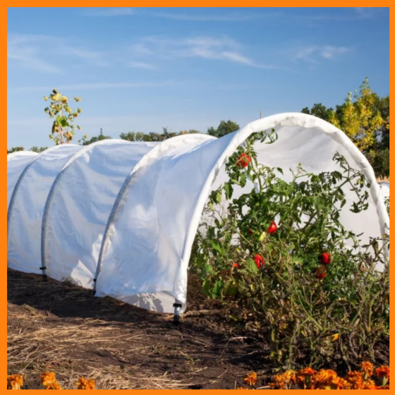 Парник 12 м 60г/м2,из агроволокна Shadow теплица домашняя для дачи Днепр