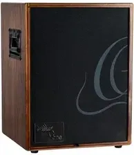 Комбіпісилювач Ortega CONE Walnut Design wzmacniacz do gitary akustycznej, combo 100W Київ