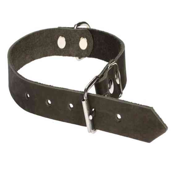 Нашийник 310 25мм "Економ" шкіра з 2-х частин Вінниця