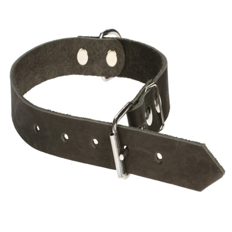 Нашийник 310 25мм "Економ" шкіра з 2-х частин Вінниця - фото 1