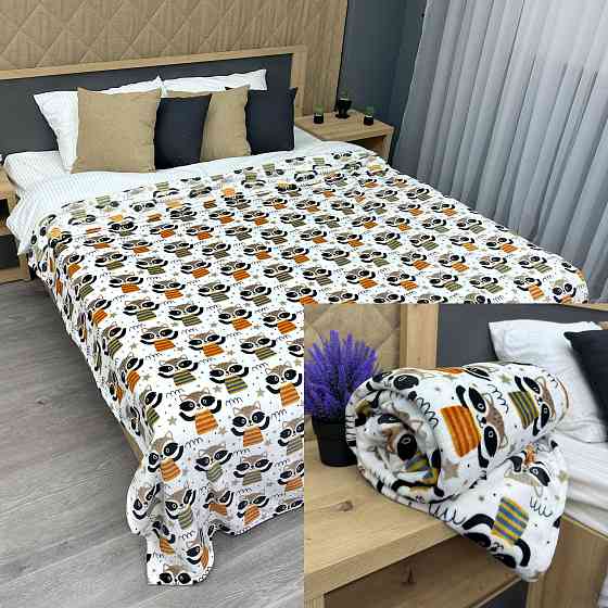 Плед-покривало Decorator WellSoft RACCOON 150х210 см з принтом "Єноти" (87-192) Київ