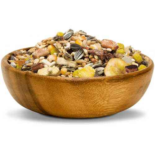 Корм Vitakraft African для великих африканських попугаїв для жако 750 г Київ